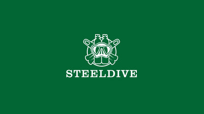 STEELDIVE SD1954 Black Dial 41MM Stainless Steel NH35 Automatic Movement What Ghost Men's 300M Dive Watch Sapphire Glass