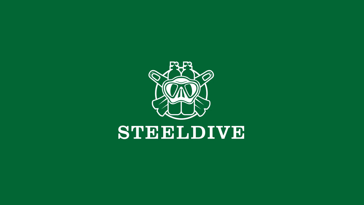 Steeldive SD1973 Men's Dive Watch Automatic Mechanical Men's Watch NH35 Bracelet 41mm Diver Watch