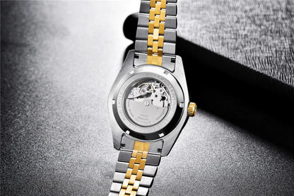 2025 New PAGANI DESIGN Date Men's Mechanical Watches Top Brand Luxury Automatic Wrist Watch for Men NH35A Movement 100M Waterproof