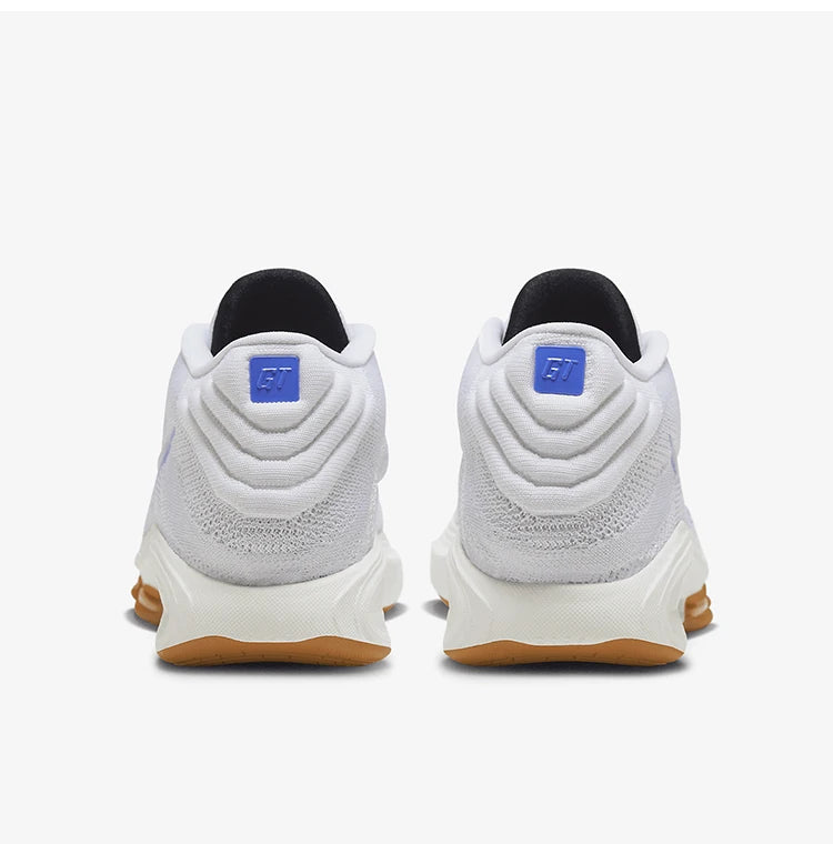 Nike authentieke nieuwe antislip basketbalschoenen voor heren met demping HJ9084-100