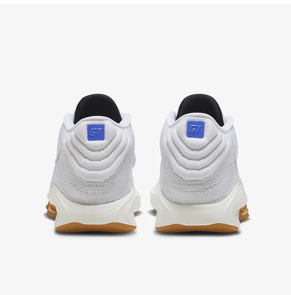 Nike authentieke nieuwe antislip basketbalschoenen voor heren met demping HJ9084-100