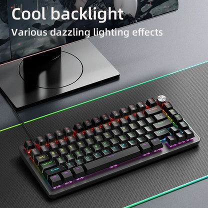 75% Mechanical Keyboard Wired with Media Knob APAYADO Black Gaming Keyboard Hot-Swap ABS Cap Transparent Character Backlighting