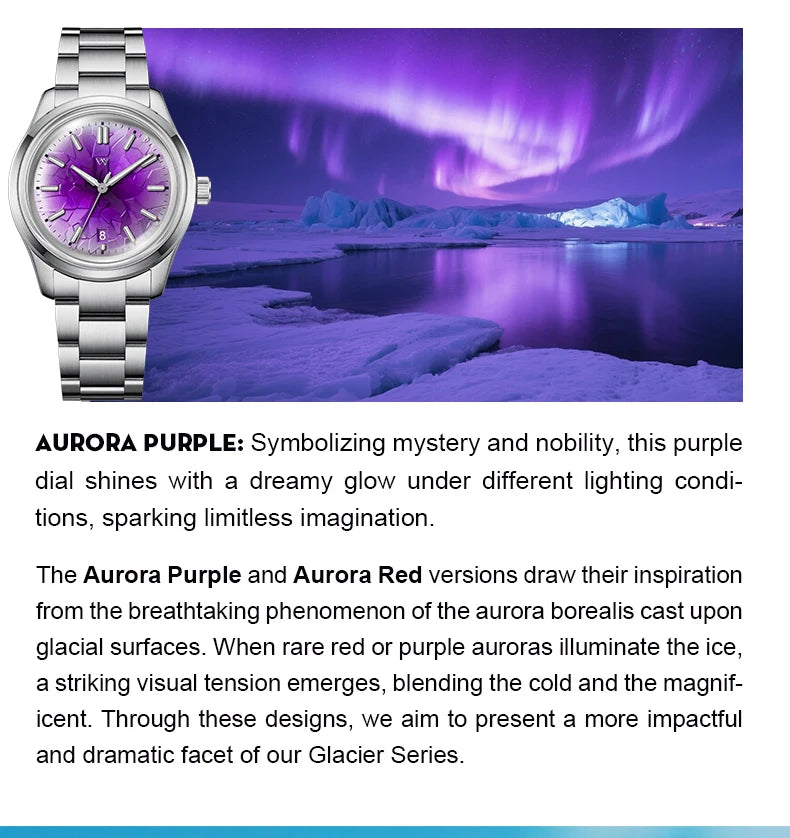 WM Watch Automatic Mechanical Watch NH35 Glacier Series 100M Waterproof AR Coated Sapphire Welly Merck Watch for Men WM226