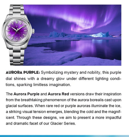 WM Watch Automatic Mechanical Watch NH35 Glacier Series 100M Waterproof AR Coated Sapphire Welly Merck Watch for Men WM226