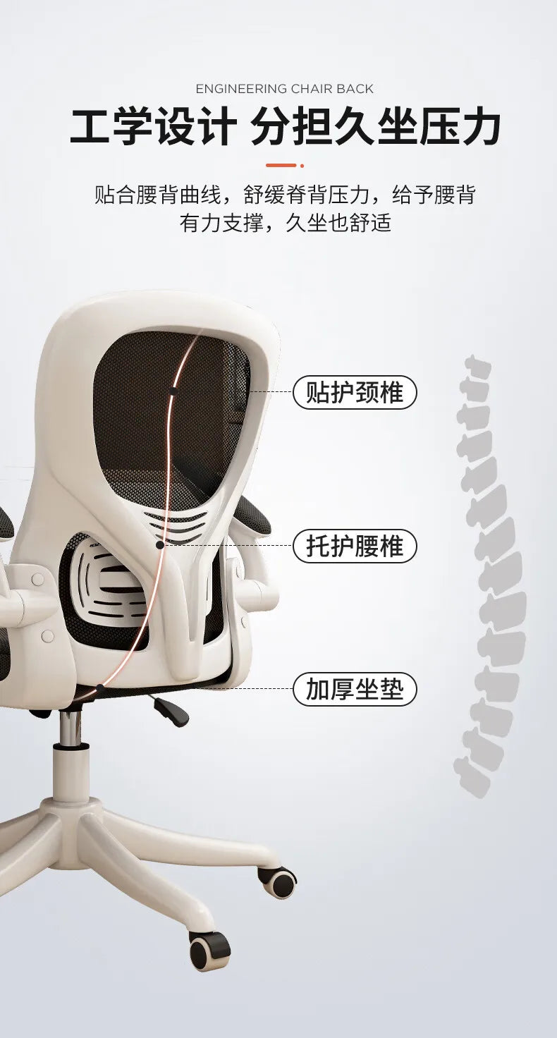 Computer Chair Home Ergonomic Comfort Back Chair Student Learning Writing Game E-sports Office Chair