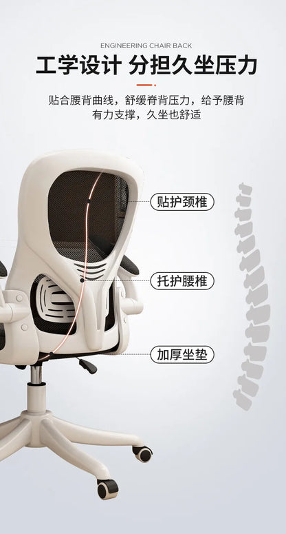 Computer Chair Home Ergonomic Comfort Back Chair Student Learning Writing Game E-sports Office Chair