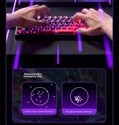 AULA WIN60HE Magnetic Switch Mechanical Keyboard, 60% Wired Gaming Keyboard with Hall Effect Magnetic Switches, Rapid Trigger Esports Keyboard