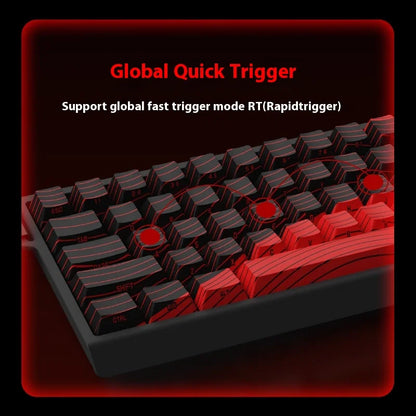 MADLIONS MAD60HE MAD68HE Magnetic Switch Keyboard Mechanical Keyboard 8000Hz 0.01mmRT Wired Custom Valorant Gaming Keyboard