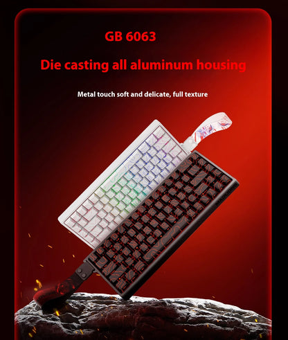 MADLIONS MAD60HE MAD68HE Magnetic Switch Keyboard Mechanical Keyboard 8000Hz 0.01mmRT Wired Custom Valorant Gaming Keyboard
