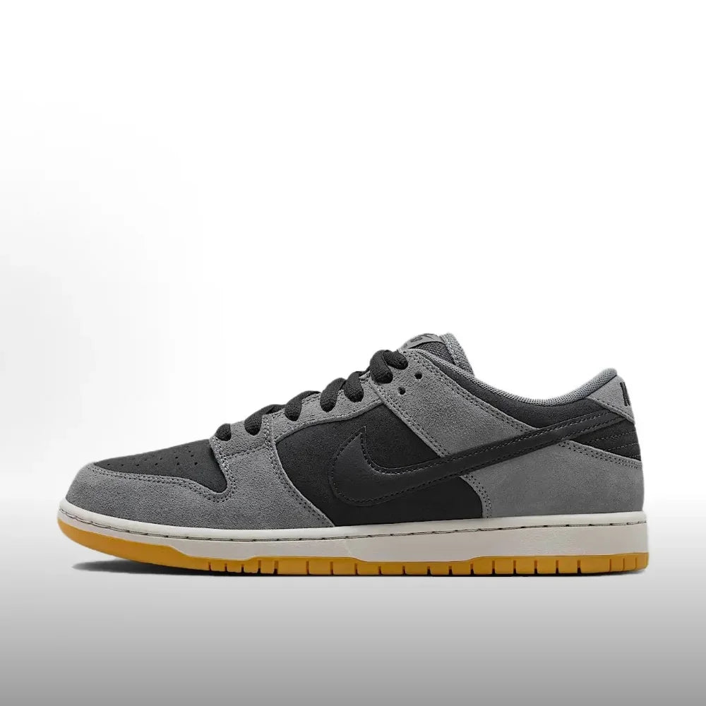 Nike Dunk SB Unisex Skateboarding Shoes Classic Retro Style Padded Collar BQ6817-302