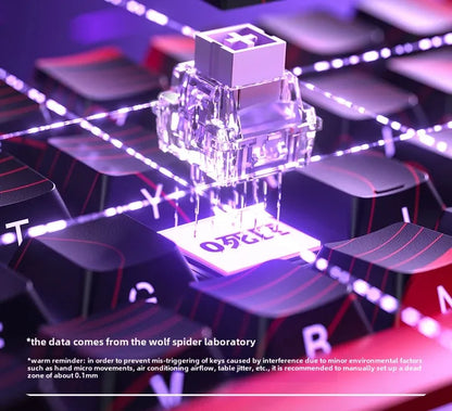 AULA WIN60HE Magnetic Switch Mechanical Keyboard, 60% Wired Gaming Keyboard with Hall Effect Magnetic Switches, Rapid Trigger Esports Keyboard