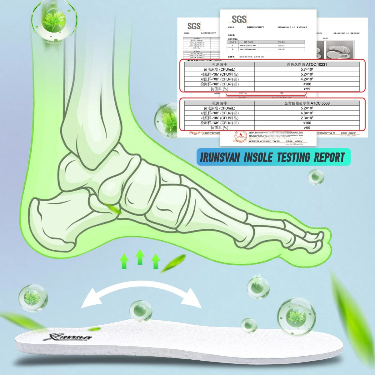 IRUNSVAN Carbon Fiber Sneakers Beginner/Advanced Running Shoes Breathable and Comfortable Thick Bottom Training Shoes Unisex 130
