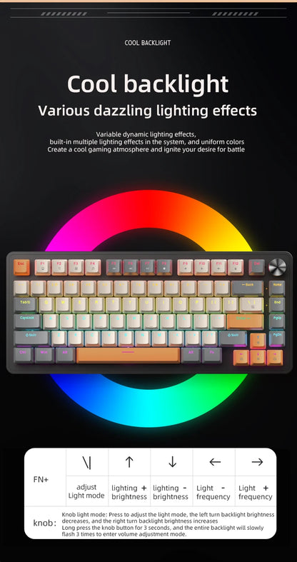 75% Mechanical Keyboard Wired with Media Knob APAYADO Black Gaming Keyboard Hot-Swap ABS Cap Transparent Character Backlighting