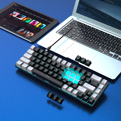 Hot sale HXSJ V800 68 key wired keyboard Hot swappable switch ergonomic ice blue backlight durability gaming mechanical keyboard