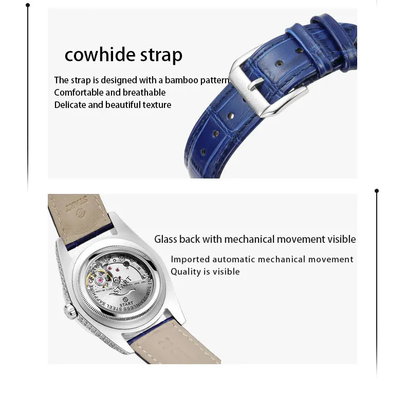 【START】Gypsophila Men's Watch Official Authentic Diamond Watch Waterproof Automatic Mechanical Watch Date Week Function