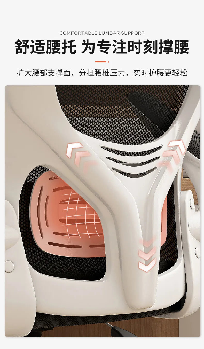 Computer Chair Home Ergonomic Comfort Back Chair Student Learning Writing Game E-sports Office Chair